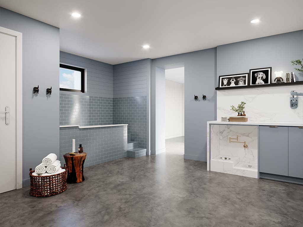 Pet spa rendering